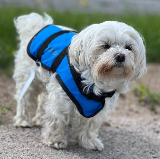 Hundflytväst "Pluto"
