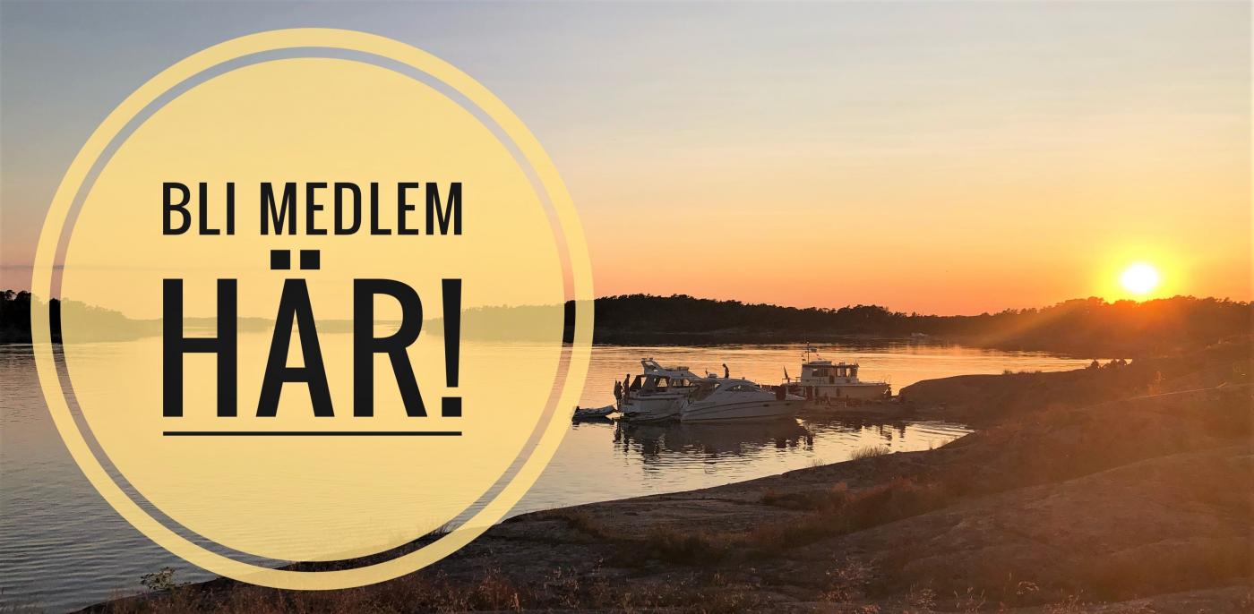 Medlemskap